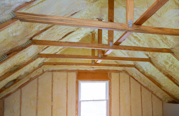 Best DIY Insulation Kits and Guidance in Monte Alto, TX