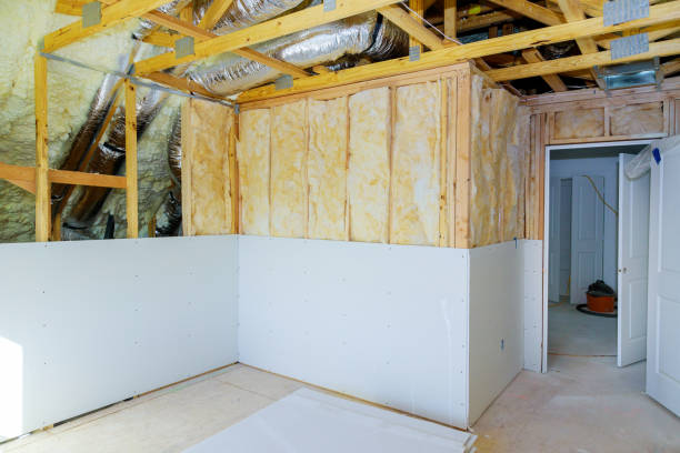 Best Insulation Maintenance and Repair in Monte Alto, TX