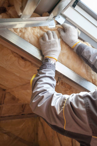 Best Spray Foam Insulation in Monte Alto, TX