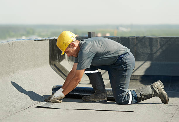 Trusted Monte Alto, TX Insulation Contractor Experts