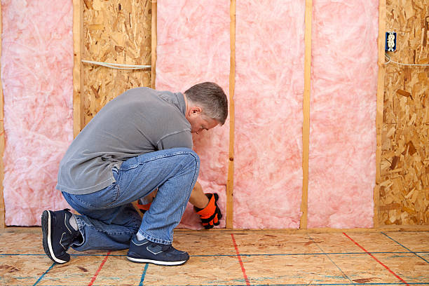 Best Cellulose Insulation in Monte Alto, TX