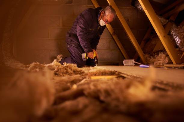 Types of Insulation We Offer in Monte Alto, TX