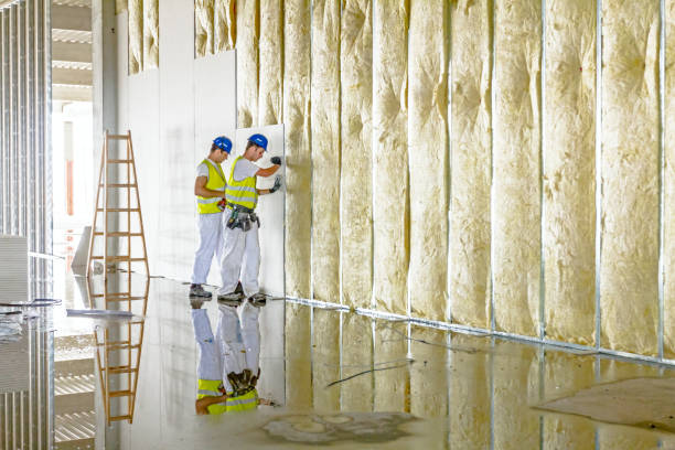 Best Geographic-Specific Insulation Services in Monte Alto, TX